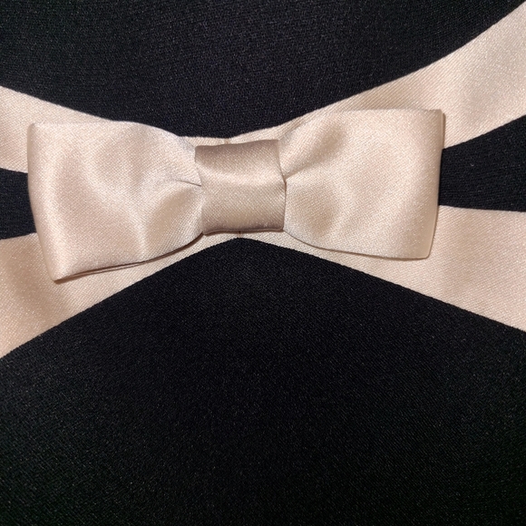 Ann Taylor Black and Cream Midi Dress - Picture 8 of 8